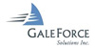 Broadview Networks - GaleForce logo